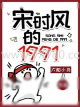 《宋时风的1991》小说封面