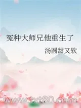 《冤种大师兄他重生了》小说封面