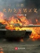 《斗罗：火力之下皆正义》小说封面