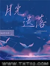 《月光遗落》小说封面