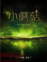 《小蘑菇》小说封面