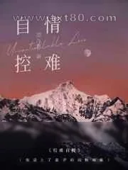 《情难自控》小说封面