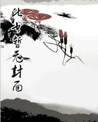 《野村极品神医》小说封面