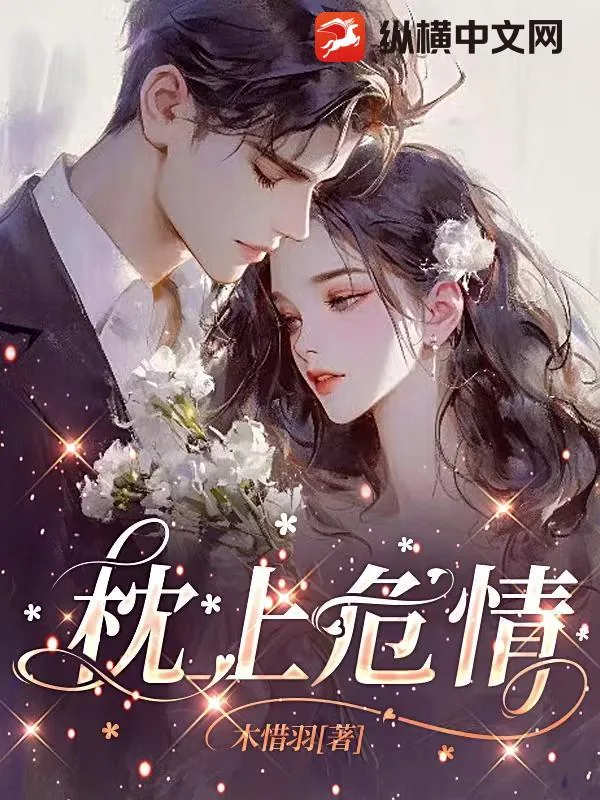 《枕上危情》小说封面