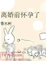 《离婚前怀孕了》小说封面