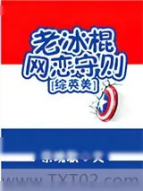 《[综英美]老冰棍网恋守则》小说封面