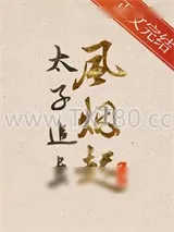 《太子追妻风烟起》小说封面