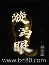 《漩涡眼》小说封面
