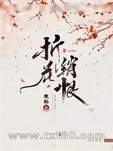 《折花销恨》小说封面