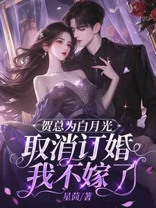 《贺总为白月光取消订婚，我不嫁了》小说封面