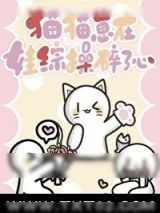 《猫猫崽在娃综操碎了心》小说封面