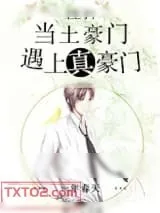 《当土豪门遇上真豪门》小说封面