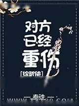 《对方已经重伤[综武侠]》小说封面