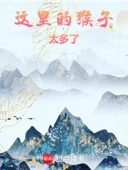 《这里的猴子太多了！》小说封面
