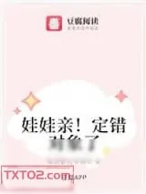 《娃娃亲！定错对象了》小说封面