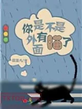 《你是不是外面有喵了！》小说封面