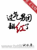 《过气男团翻红了》小说封面
