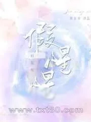 《假惺惺》小说封面