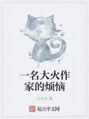 《一名大火作家的烦恼》小说封面