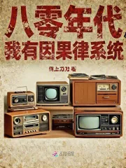 《八零年代,我有因果律系统》小说封面