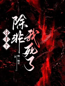 《分手？除非我死了》小说封面