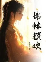 《锦帐锁欢》小说封面