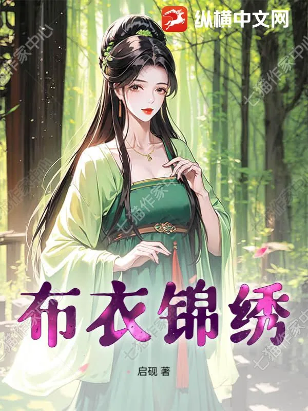 《布衣锦绣》小说封面