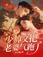 《少帅,苏小姐不爱你很久了》小说封面