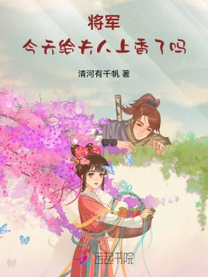 《将军：今天给夫人上香了吗》小说封面