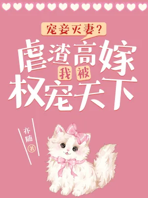 《宠妾灭妻?虐渣高嫁我被权宠天下》小说封面