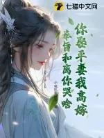 《你娶平妻我高嫁，奉旨和离你哭啥？》小说封面