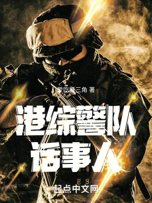 《港综警队话事人》小说封面
