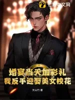 《婚宴当天加彩礼？我反手迎娶美女校花！》小说封面