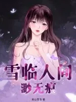 《雪临人间渺无痕》小说封面