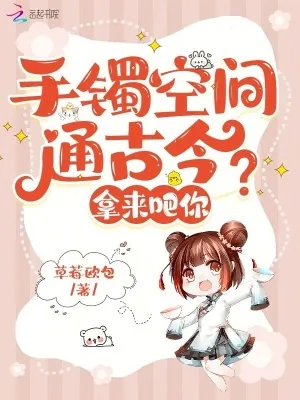 《手镯空间通古今？拿来吧你》小说封面