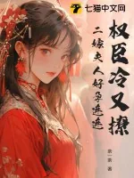 《权臣冷又撩,二嫁夫人好孕连连》小说封面