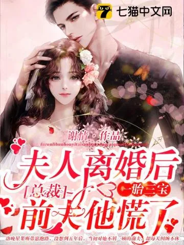 《夫人离婚后一胎三宝,总裁前夫他慌了!》小说封面
