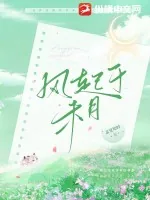 《风起于未月》小说封面