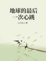 《地球的最后一次心跳》小说封面