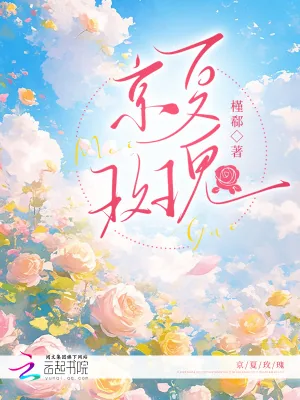 《京夏玫瑰》小说封面