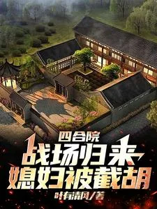 《四合院：战场归来媳妇被截胡》小说封面
