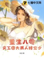 《重生八零：文工团大美人嫁空少》小说封面