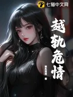 《越轨危情》小说封面