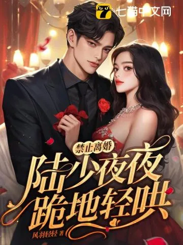 《禁止离婚！陆少夜夜跪地轻哄》小说封面