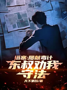 《塔寨：屡献毒计，东叔劝我守法！》小说封面