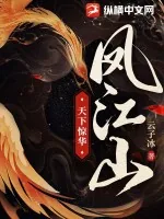 《凤江山：天下惊华》小说封面