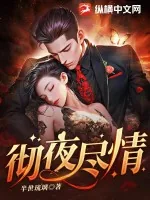 《彻夜尽情》小说封面
