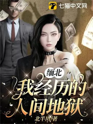 《缅北，我经历的人间地狱》小说封面