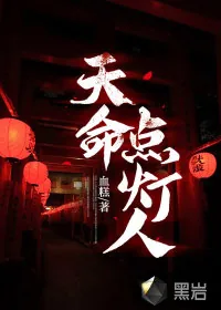 《天命点灯人》小说封面