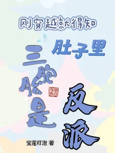 《刚穿越就得知肚子里三胞胎是反派》小说封面
